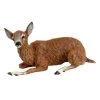 Scully & Scully Austrian Bronze Deer And Buck -Collectibles Sales Store unnamed file 1381