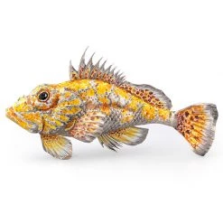 Scully & Scully Sterling Silver Red Scorpionfish