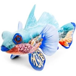 Herend Reserve Mandarin Fish, Continent Edition