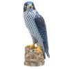 Herend Reserve Peregrine Falcon -Collectibles Sales Store unnamed file 3338