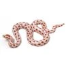 Herend Miniature Snakes 2 Herend Miniature Snakes -Collectibles Sales Store unnamed file 3747