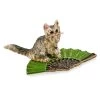 Scully & Scully Austran Bronze Cat Sitting On Green Fan -Collectibles Sales Store unnamed file 463