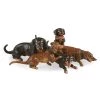 Austrian Bronze Daushund Group -Collectibles Sales Store unnamed file 501