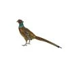 Scully & Scully Austrian Bronze Pheasant, Tail Down -Collectibles Sales Store unnamed file 70