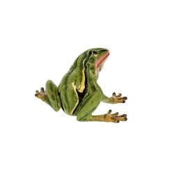 Scully & Scully Austrian Bronze Frogs